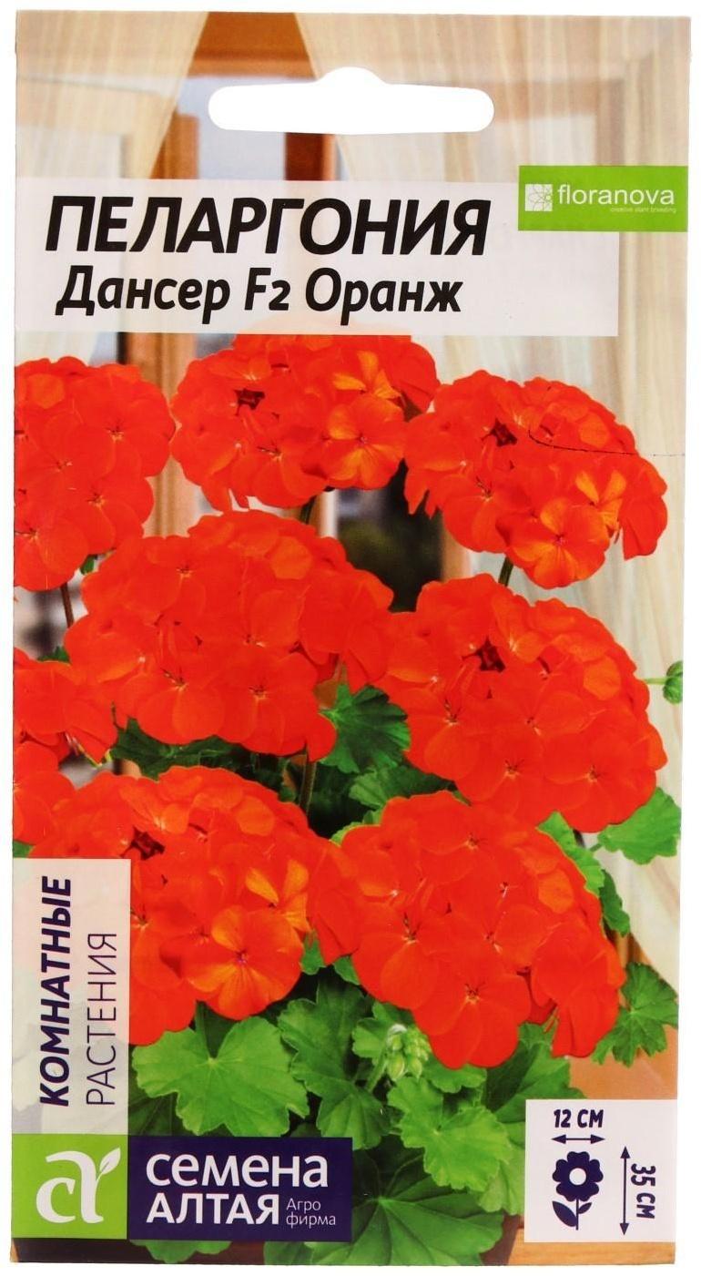 Семена цветов Пеларгония 
