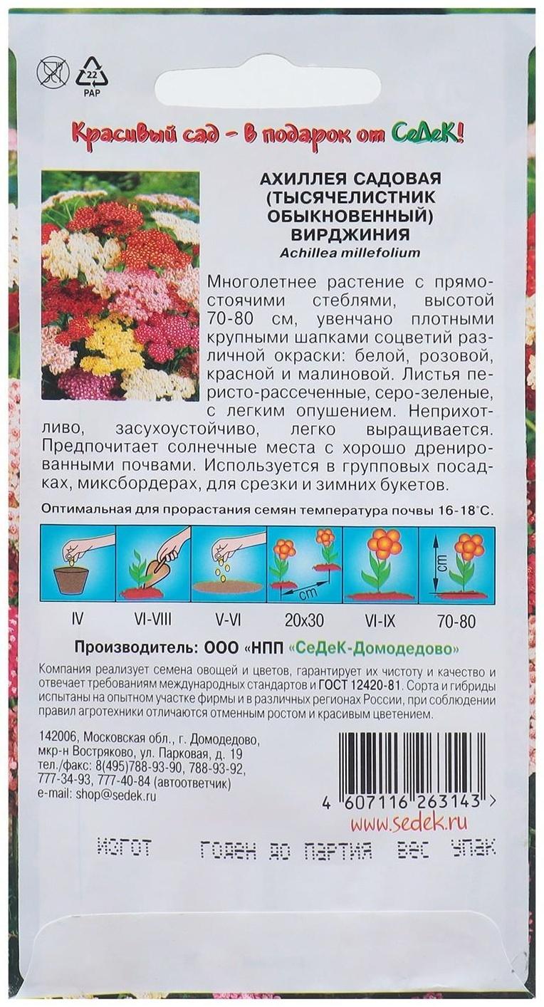 Семена Цветов Ахиллея 