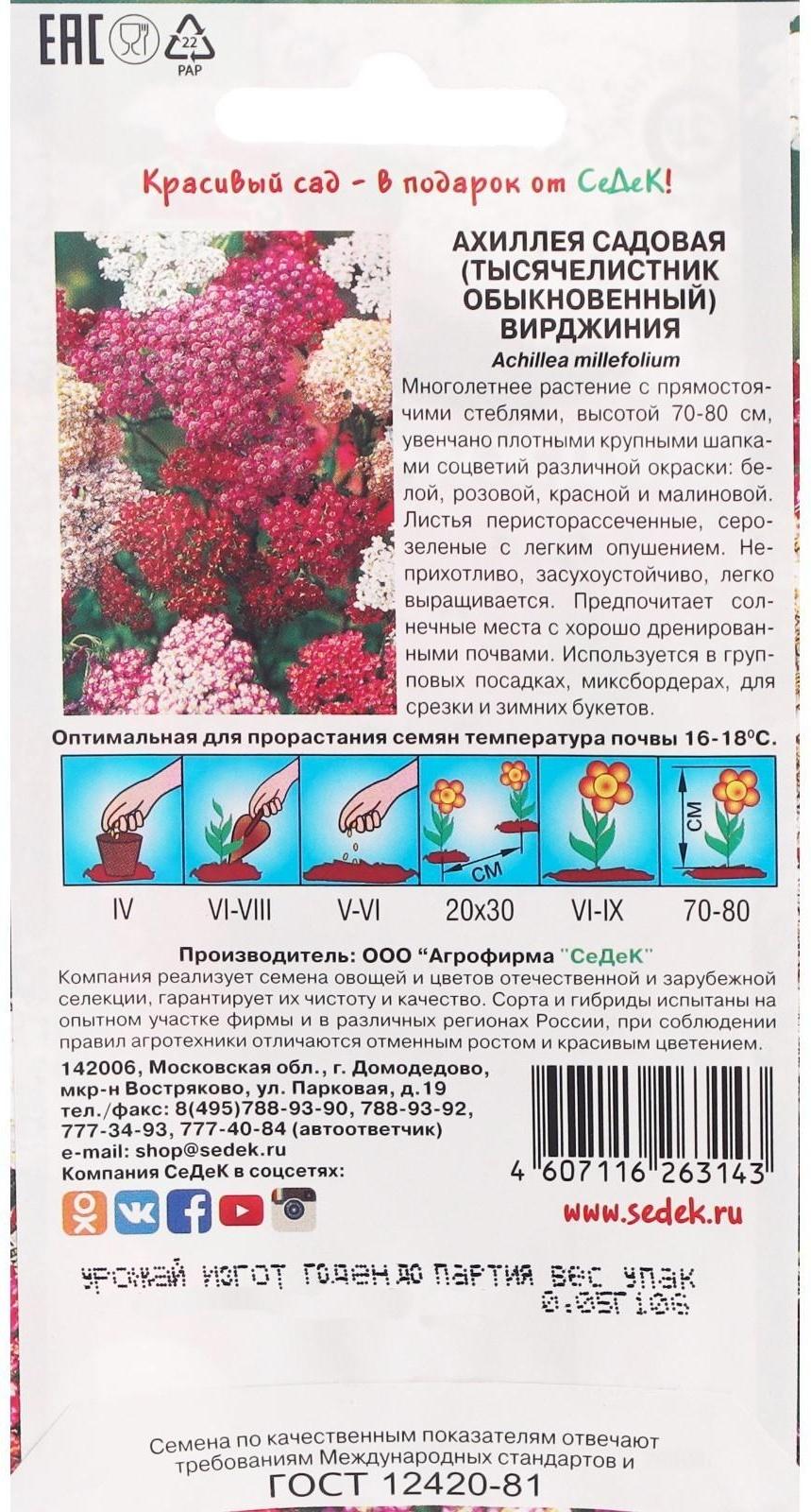 Семена Цветов Ахиллея 