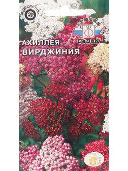 Семена Цветов Ахиллея 