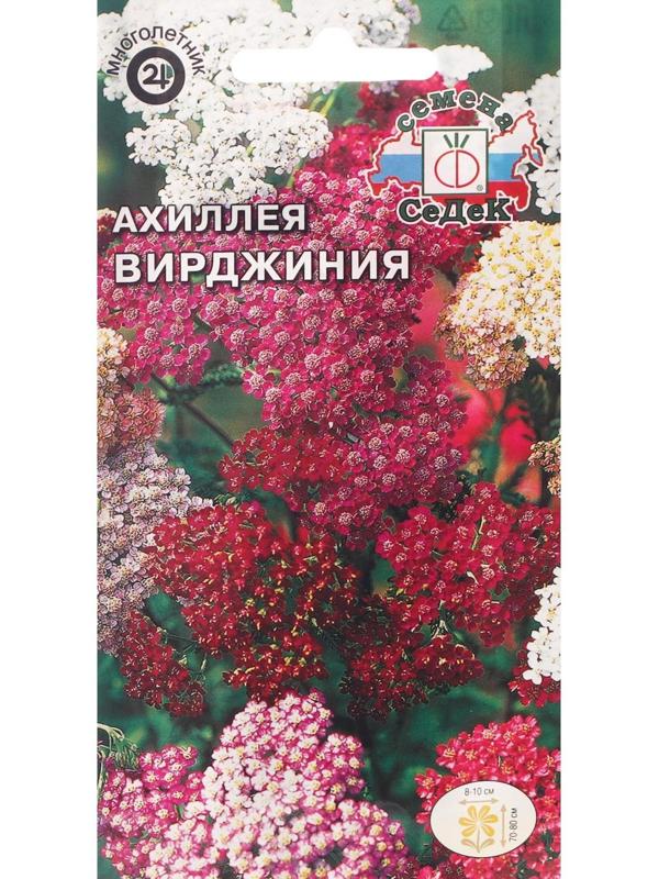 Семена Цветов Ахиллея 