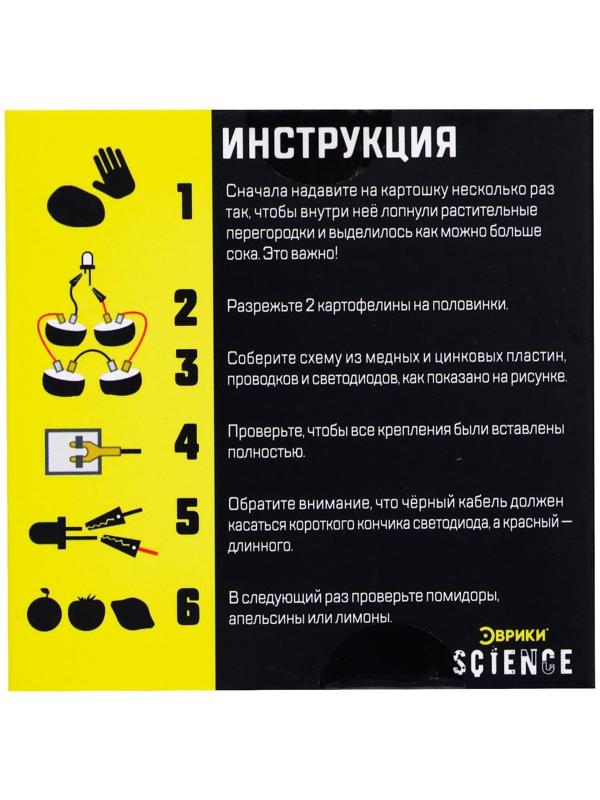 Набор для опытов «Картофельная батарейка»