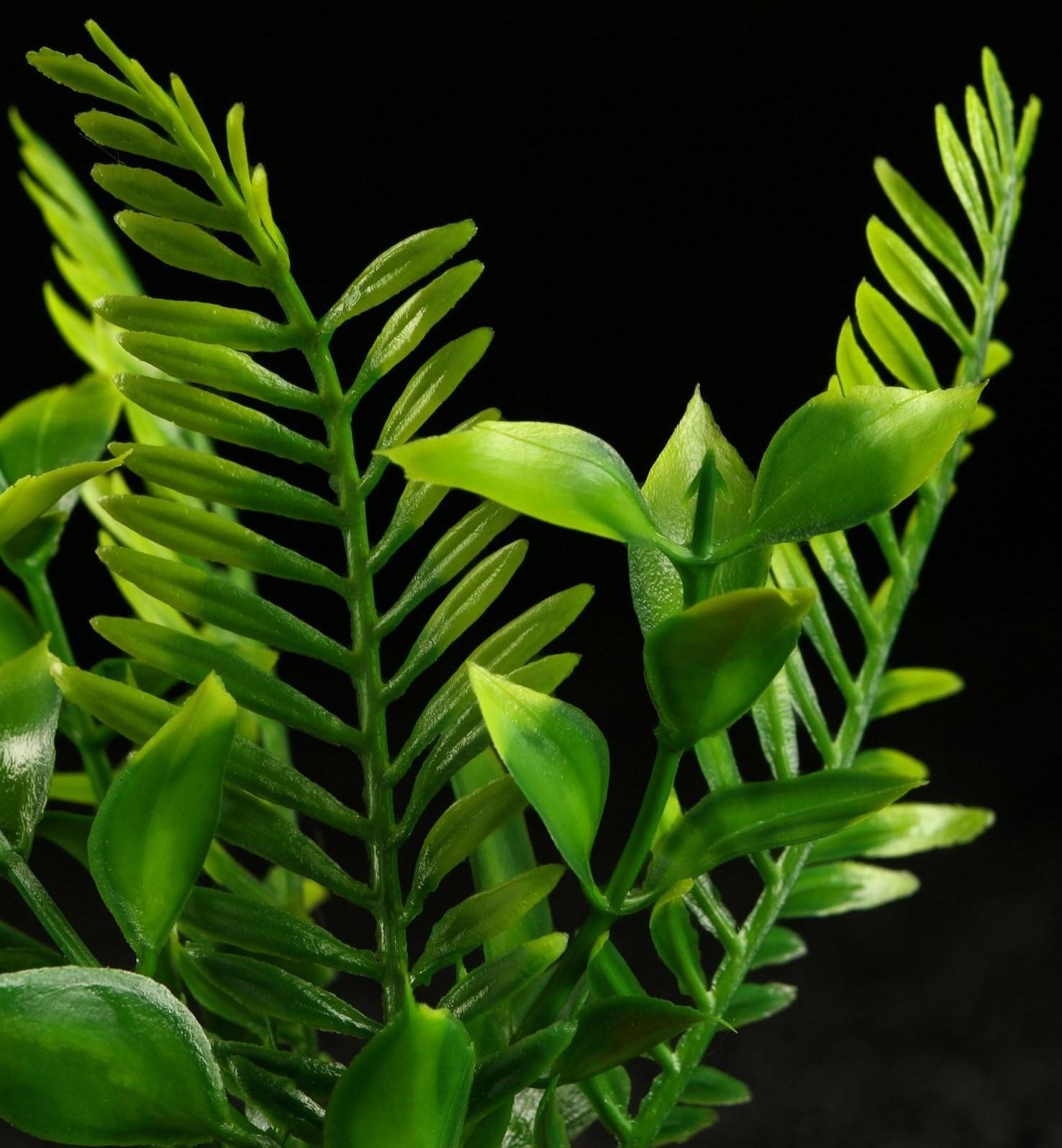 Растение искусственное аквариумное, 18 х 9 х 14 см, красное