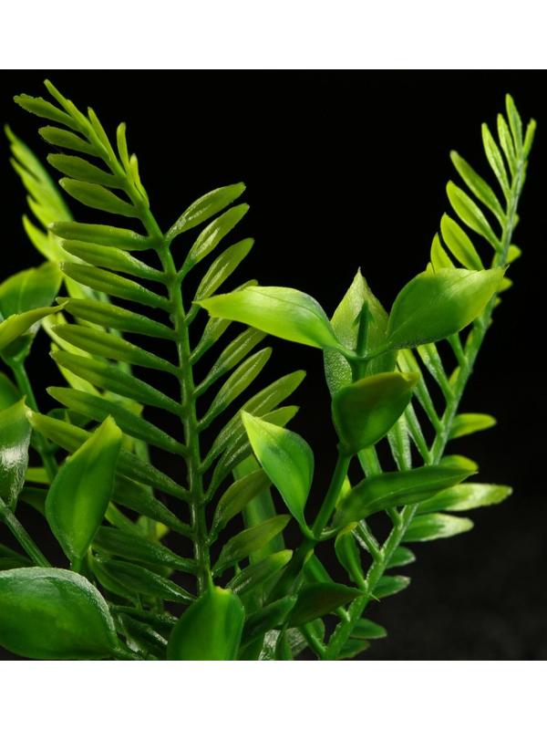 Растение искусственное аквариумное, 18 х 9 х 14 см, красное