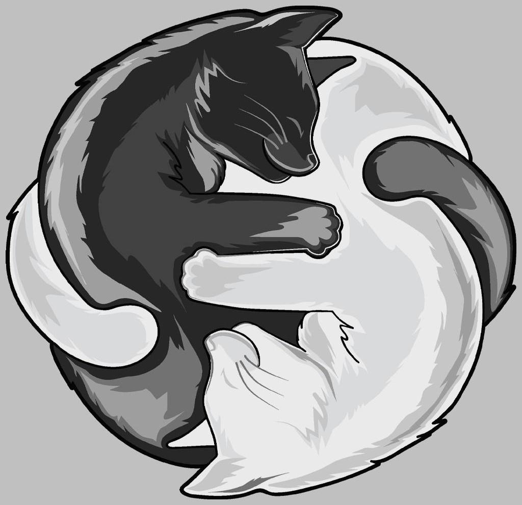 Термотрансфер «Коты Инь-Ян», 18,6 × 18 см