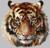 Термотрансфер «Тигр акварельный», 19,4 × 18,9 см
