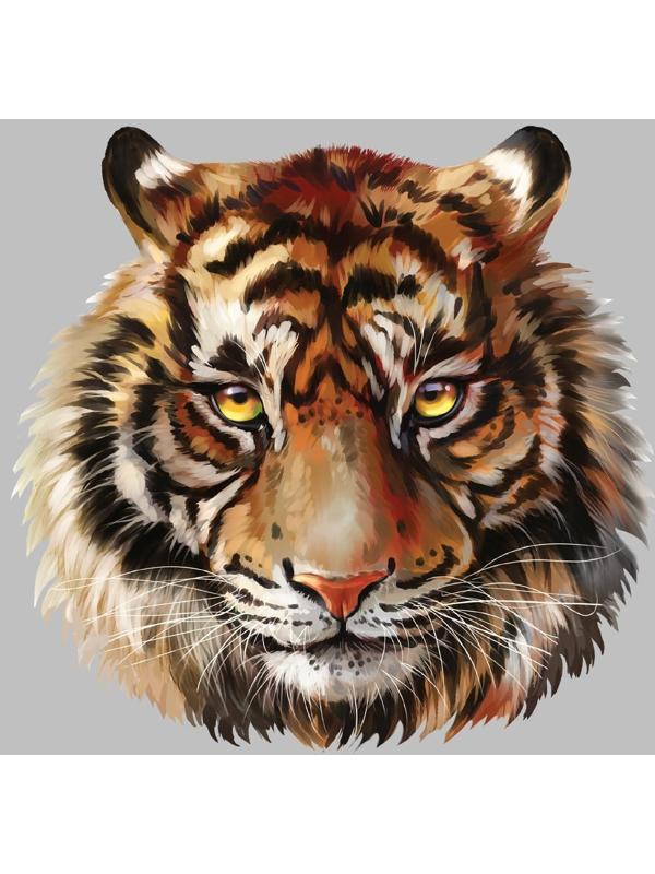 Термотрансфер «Тигр акварельный», 19,4 × 18,9 см