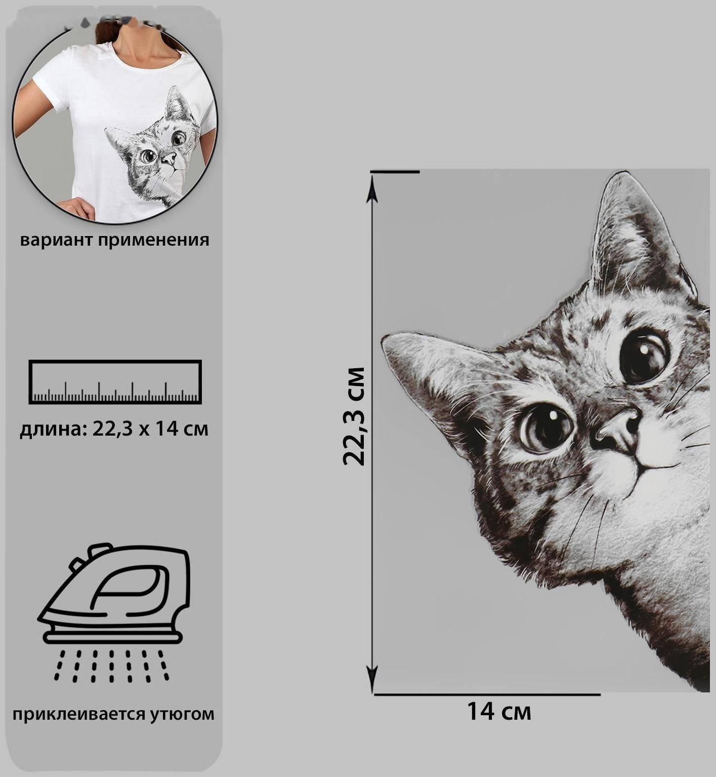 Термотрансфер «Любопытный кот», 14 × 22,3 см