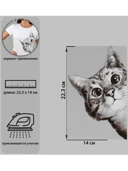 Термотрансфер «Любопытный кот», 14 × 22,3 см