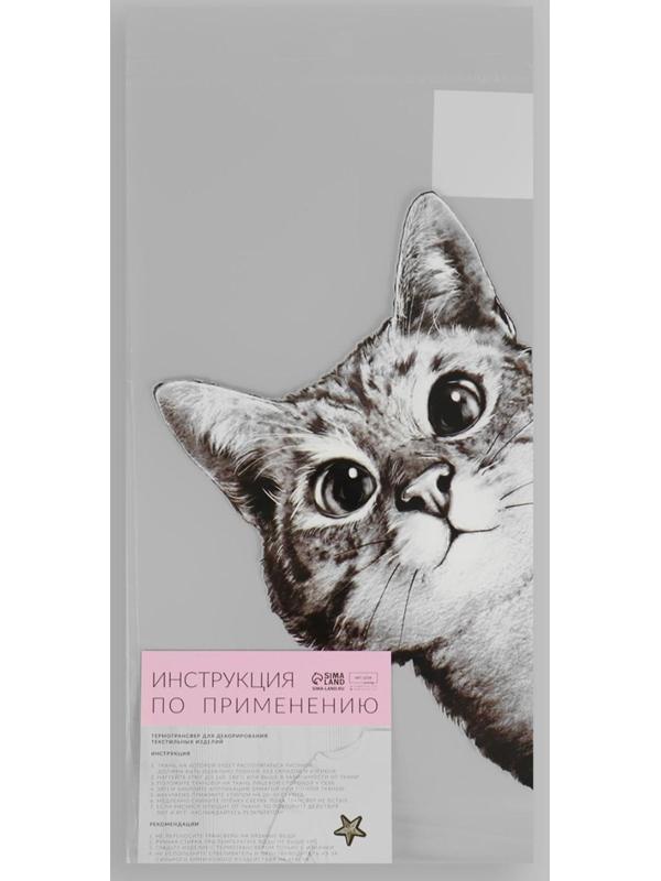Термотрансфер «Любопытный кот», 14 × 22,3 см