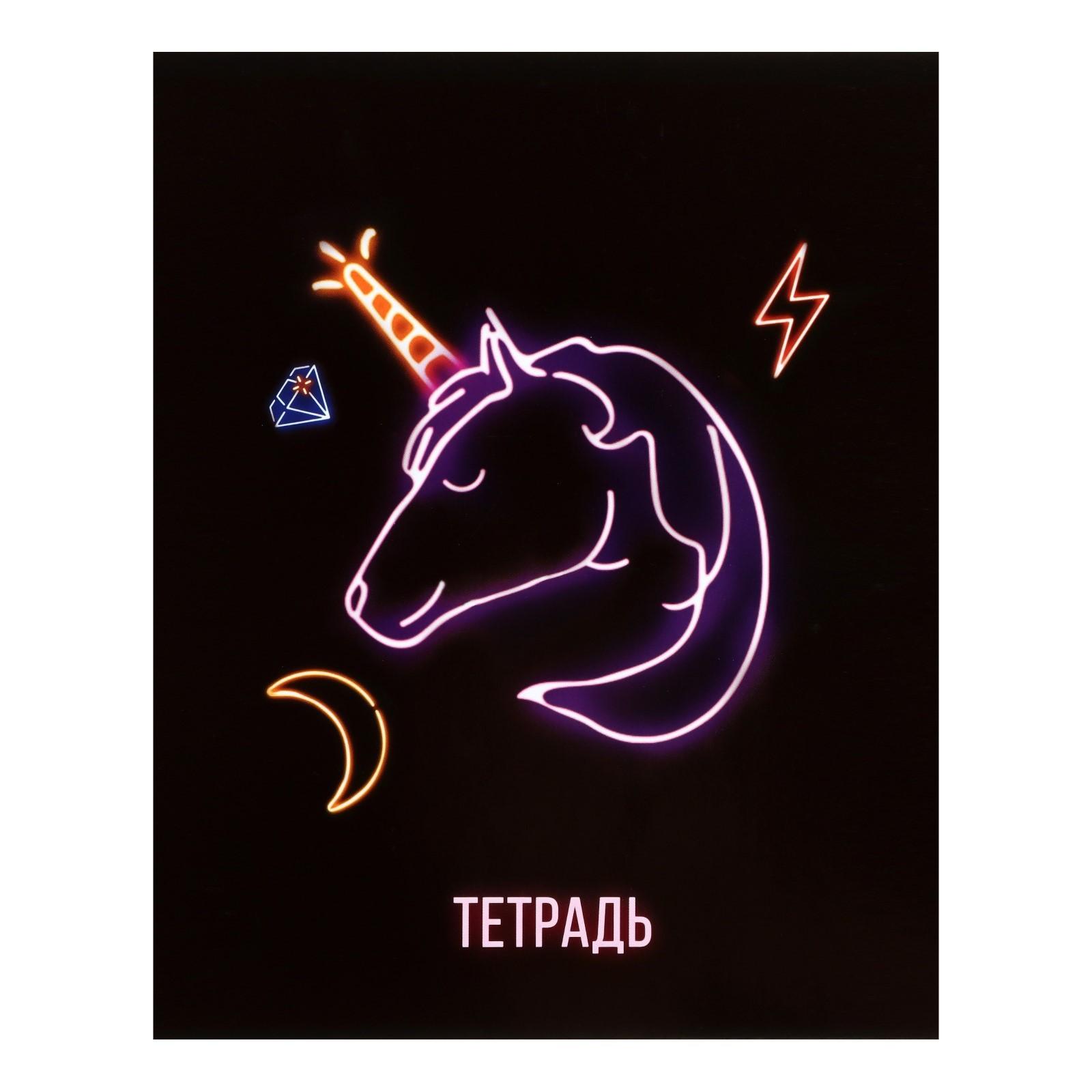 Комплект тетрадей из 5 шт, 48 листов, клетка, Neon, обложка мелованный картон, УФ-лак, блок офсет