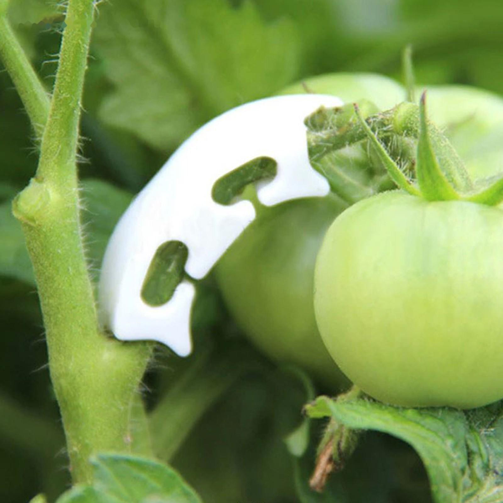 Кистедержатель «Улитка», набор 50 шт., Greengo