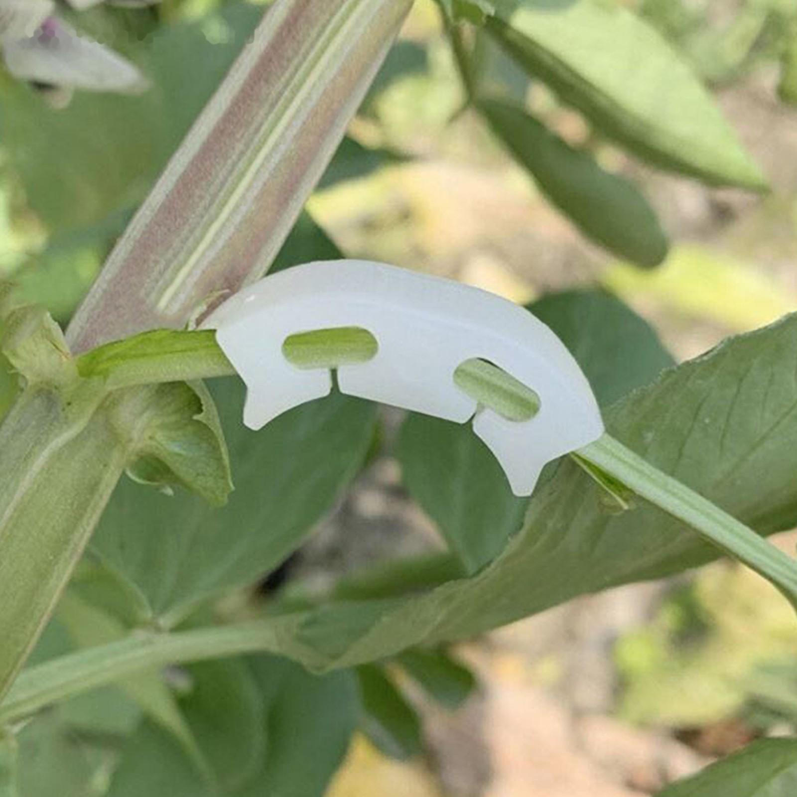 Кистедержатель «Улитка», набор 50 шт., Greengo