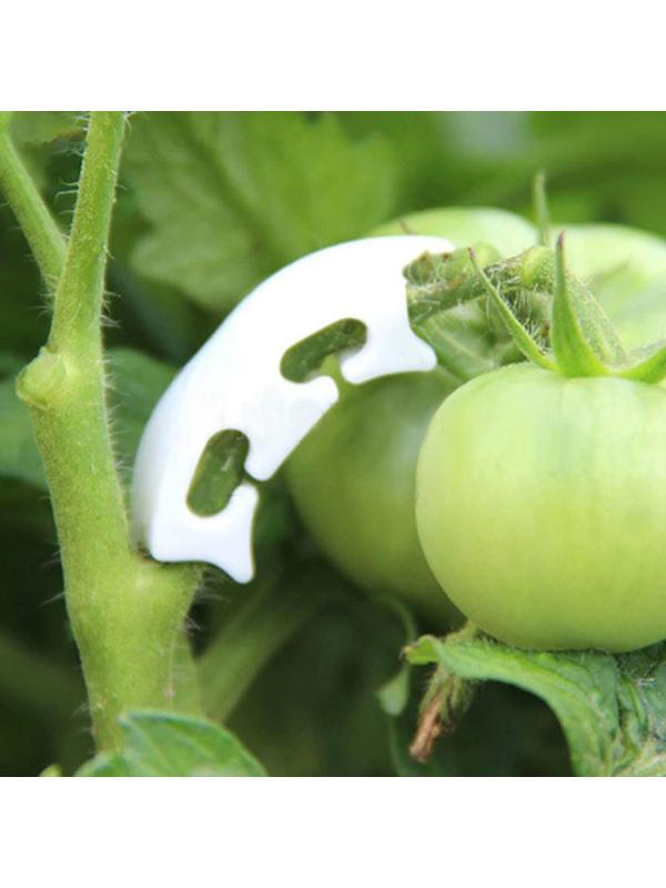 Кистедержатель «Улитка», набор 50 шт., Greengo