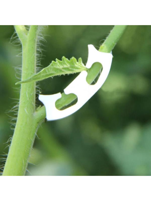 Кистедержатель «Улитка», набор 50 шт., Greengo