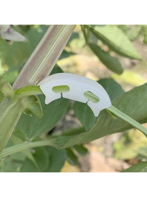 Кистедержатель «Улитка», набор 50 шт., Greengo