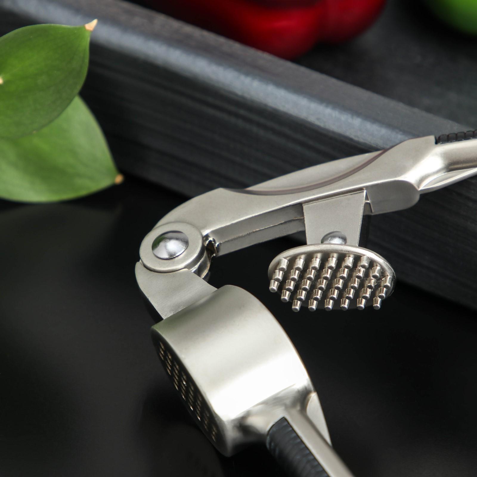 Пресс для чеснока Доляна «Велес», цвет хромированный