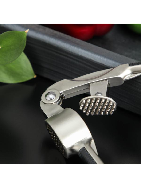 Пресс для чеснока Доляна «Велес», цвет хромированный