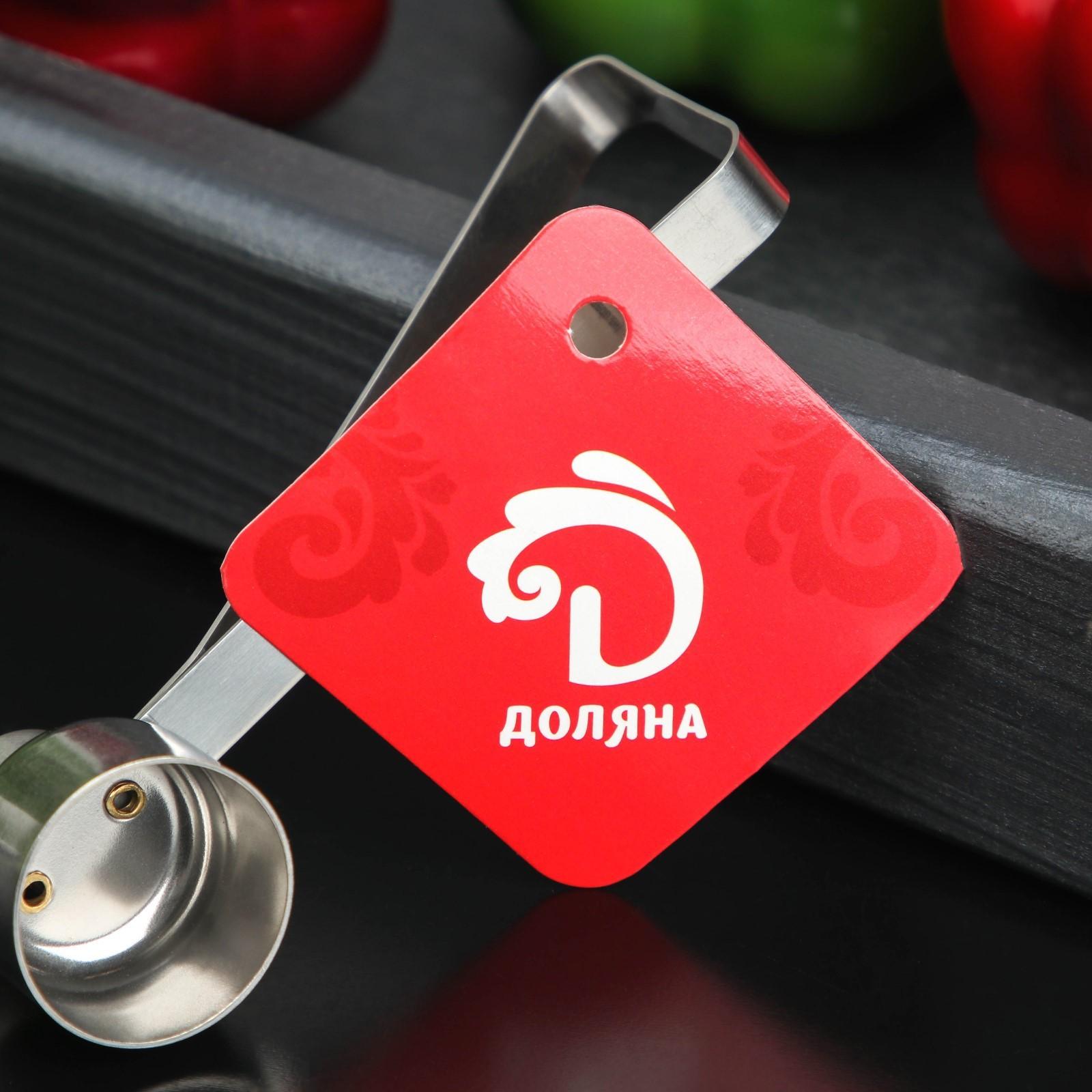 Резак для скорлупы у яиц Доляна, 10×2,5×5,3 см, цвет хромированный