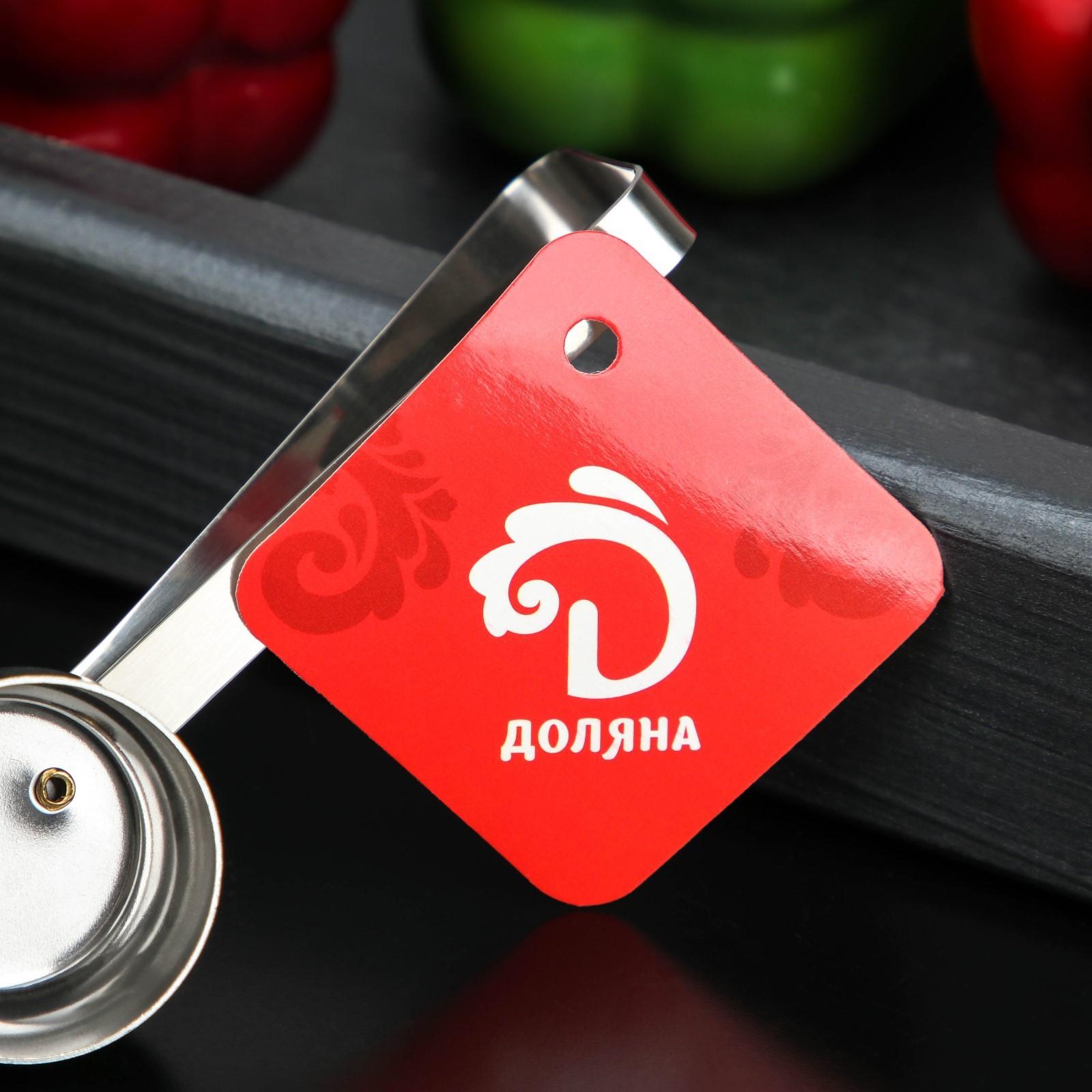 Резак для скорлупы у яиц Доляна, 10×3,4×5,3 см, цвет хромированный