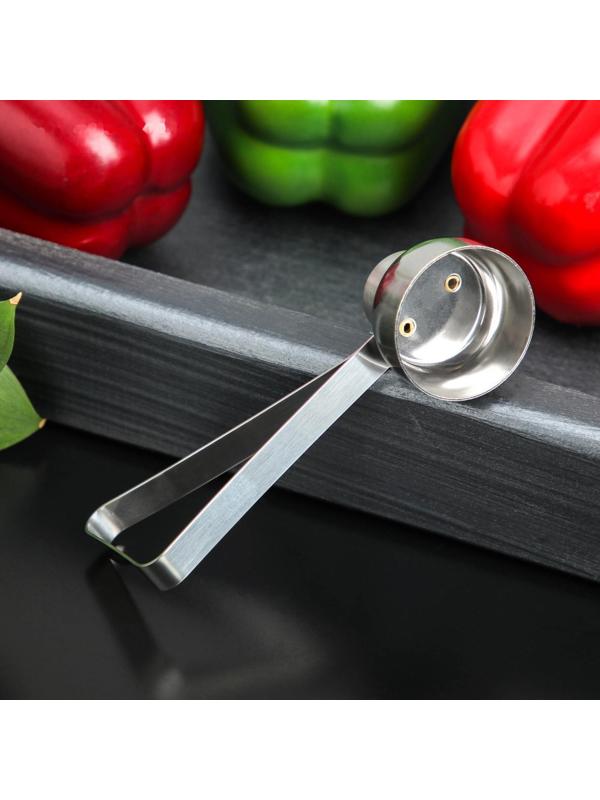 Резак для скорлупы у яиц Доляна, 10×3,4×5,3 см, цвет хромированный