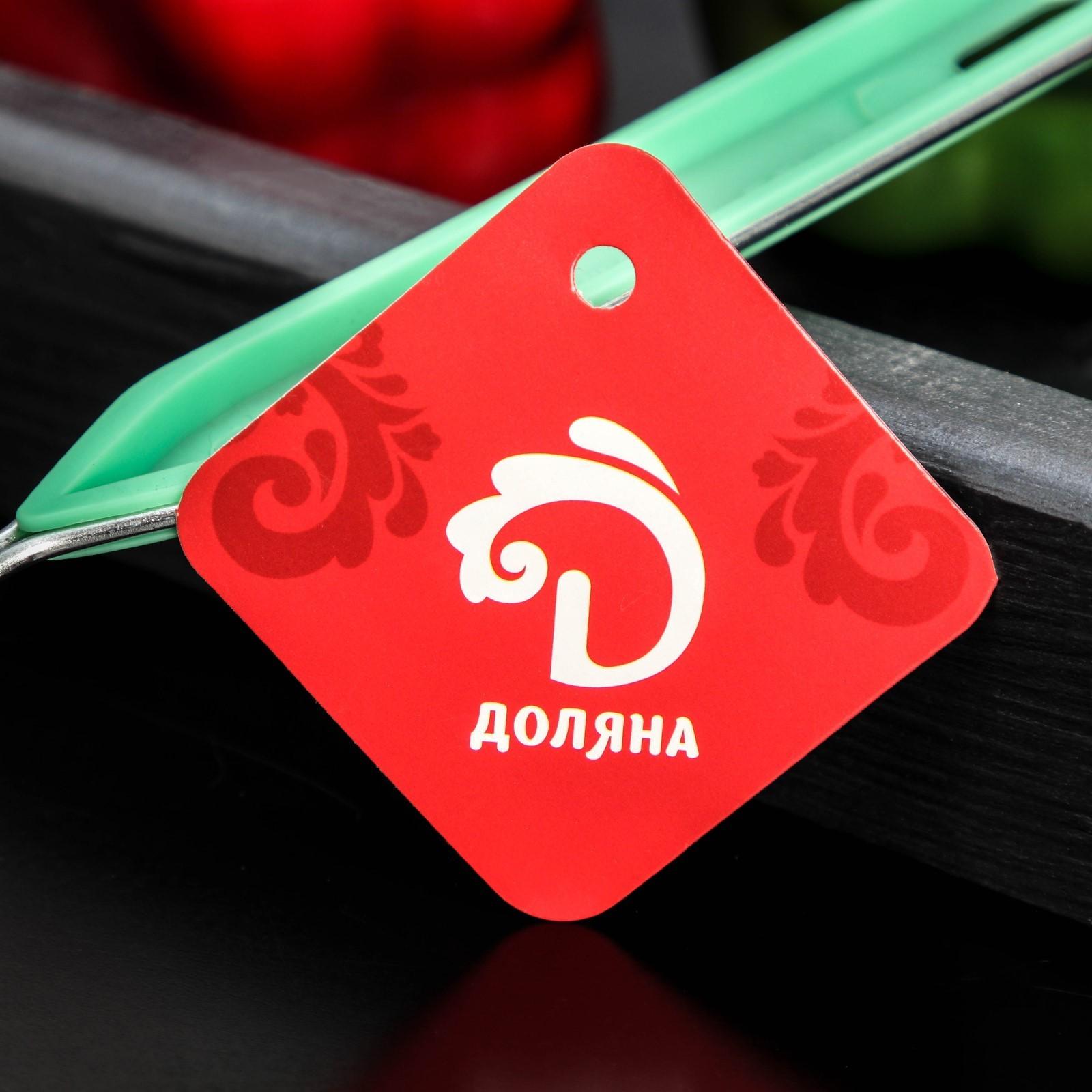 Сито с ручкой Доляна «Хозяюшка», d=12 см, цвет зелёный