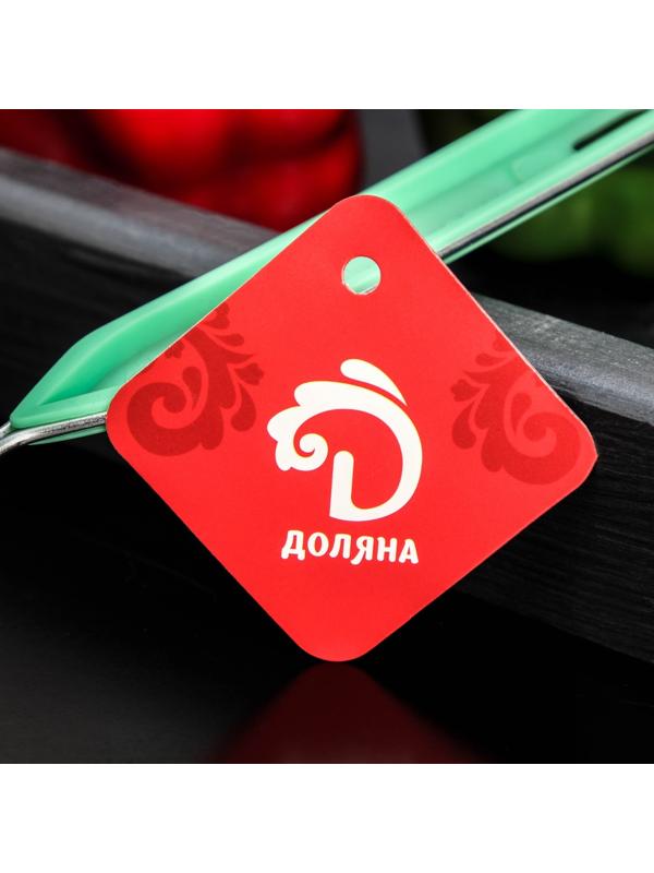 Сито с ручкой Доляна «Хозяюшка», d=12 см, цвет зелёный