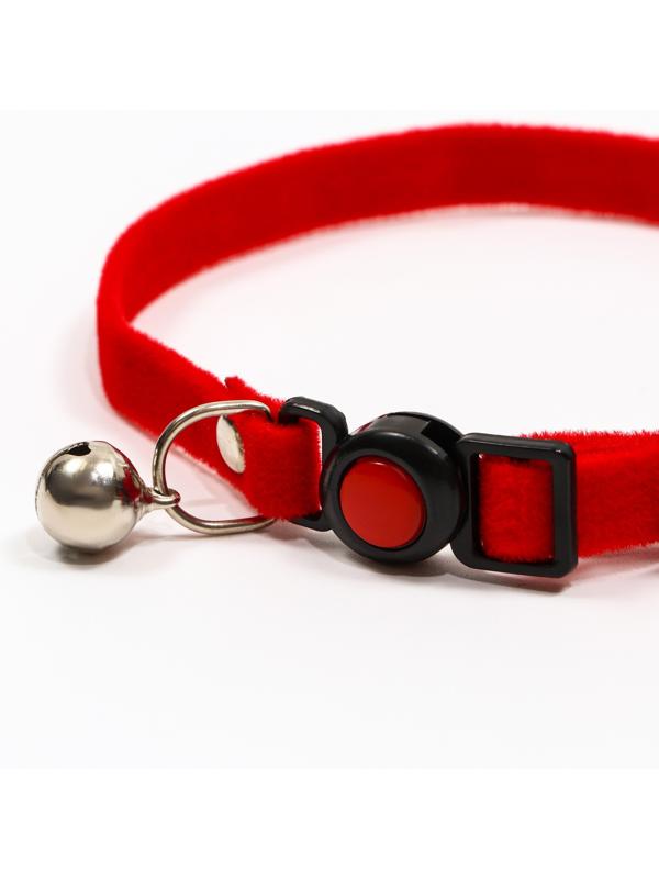 Ошейник кошачий мягкий с бубенчиком, 30 х 1 см, текстиль, красный
