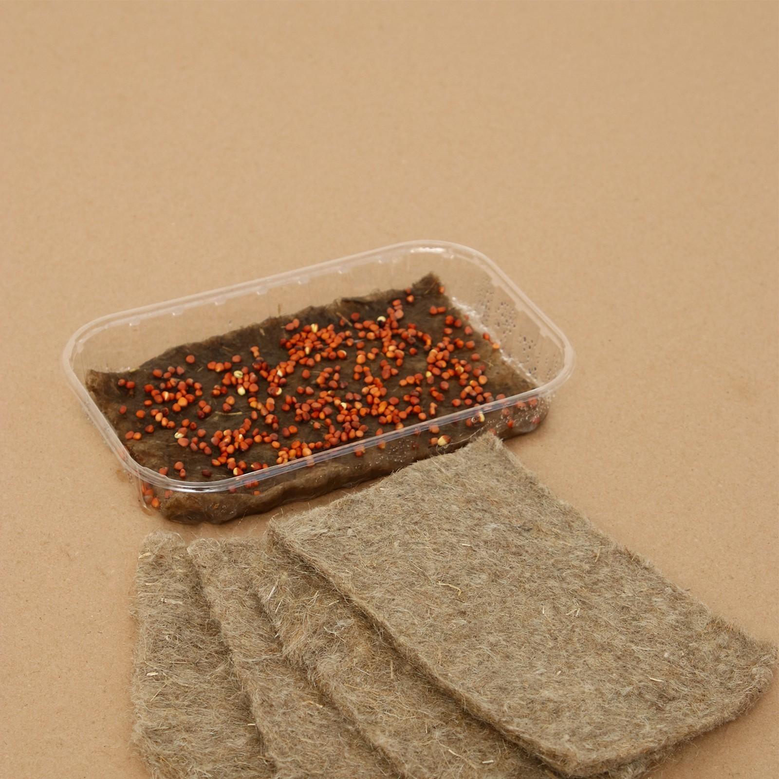 Коврик льняной для выращивания микрозелени, 10 × 15 см, набор 5 шт.