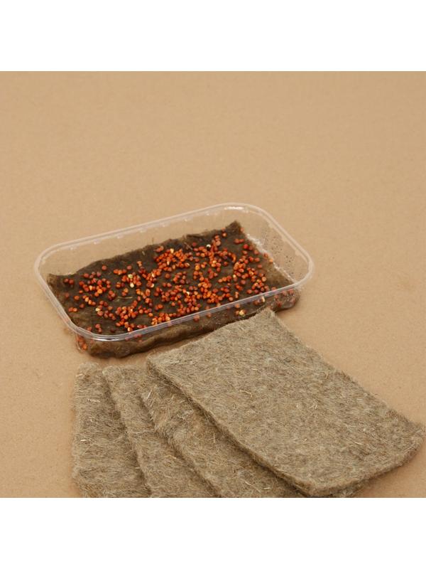 Коврик льняной для выращивания микрозелени, 10 × 15 см, набор 5 шт.