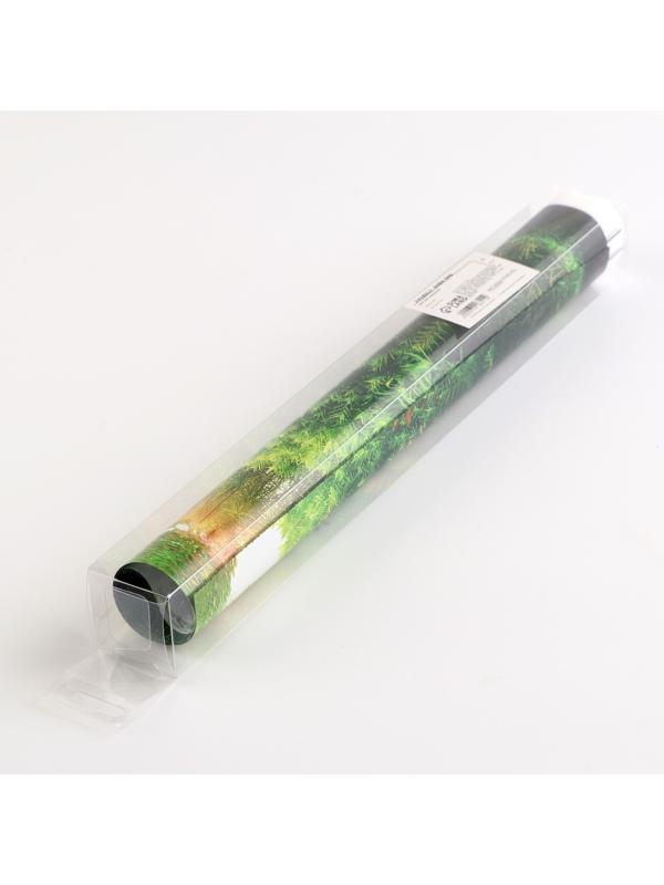 Фон для аквариума двухсторонний, 30 х 50 см