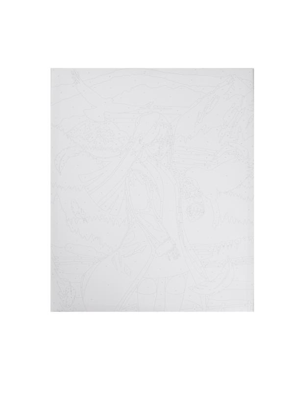 Картина по номерам на холсте с подрамником «Девушка с птицами» 40х50 см