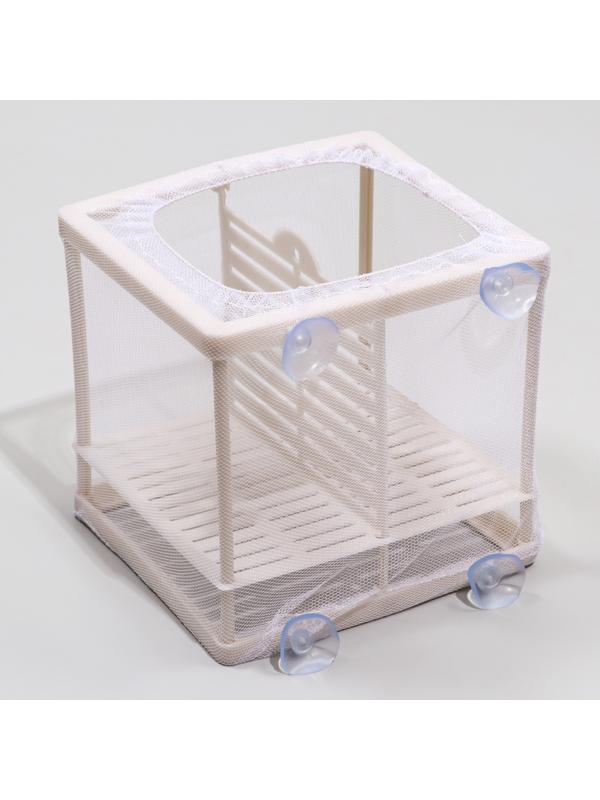 Отсадник малый с перегородкой и пластиковым дном, 14,5 х 16 х 15 см