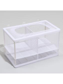 Отсадник большой с перегородкой и пластиковым дном, 26 х 15 х 15 см