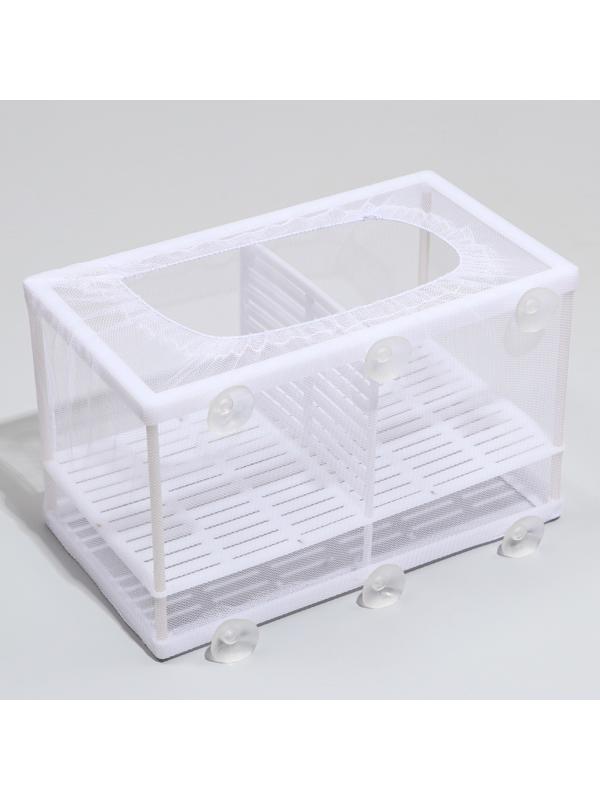 Отсадник большой с перегородкой и пластиковым дном, 26 х 15 х 15 см