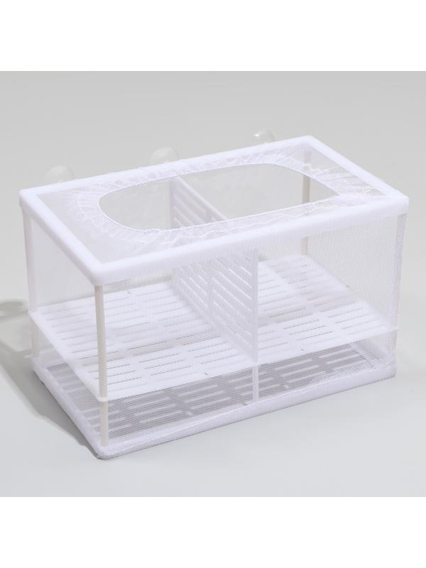 Отсадник большой с перегородкой и пластиковым дном, 26 х 15 х 15 см