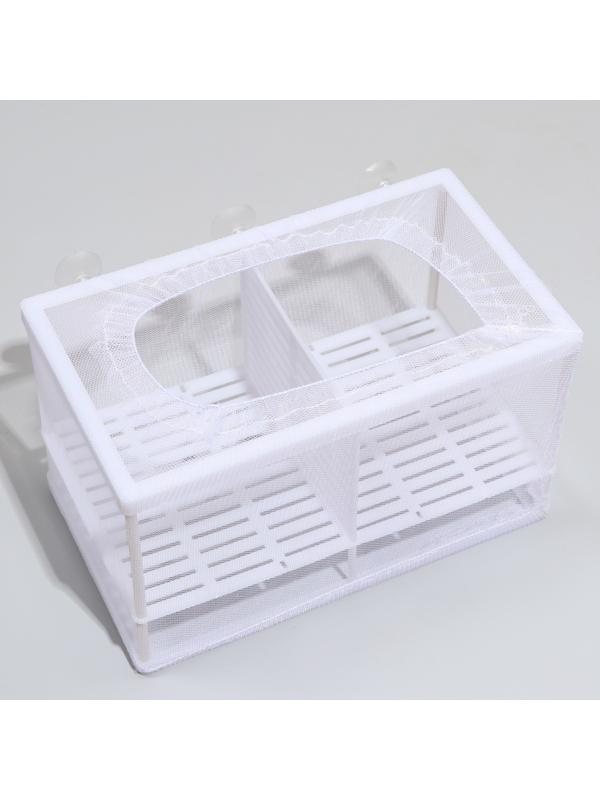 Отсадник большой с перегородкой и пластиковым дном, 26 х 15 х 15 см