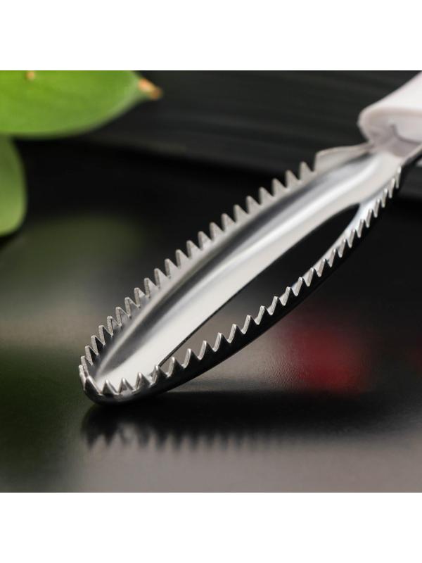 Рыбочистка Доляна «Сливки», 25×3,5×1,5 см, цвет белый