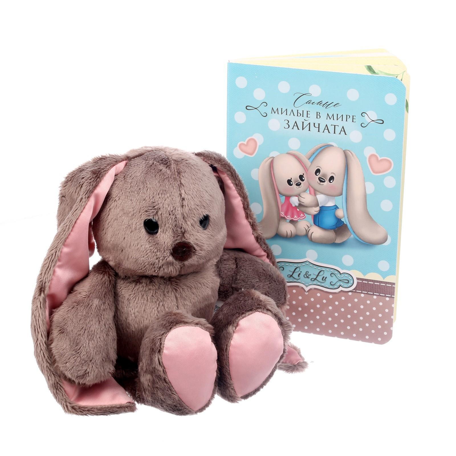 Мягкая игрушка «Зайка Li», с книгой, девочка