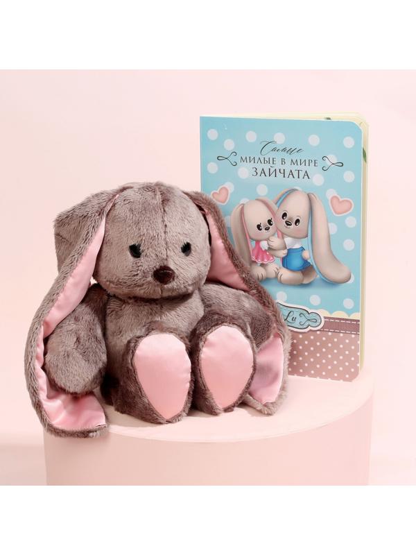 Мягкая игрушка «Зайка Li», с книгой, девочка