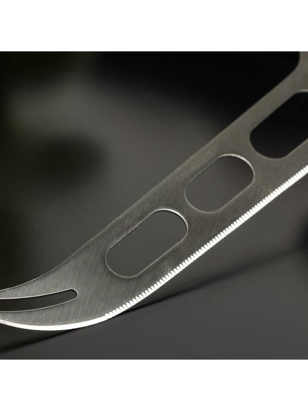 Нож для сыра Доляна «Валдай», нержавеющая сталь, цвет серебряный