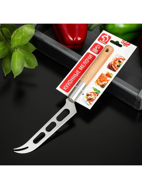 Нож для сыра Доляна «Валдай», нержавеющая сталь, цвет серебряный