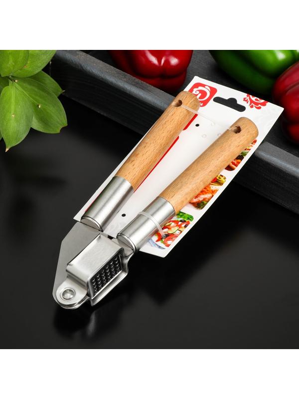 Пресс для чеснока Доляна «Валдай», 20×7,5×4 см, рабочая часть 3,2×2,4 см, нержавеющая сталь, цвет коричневый