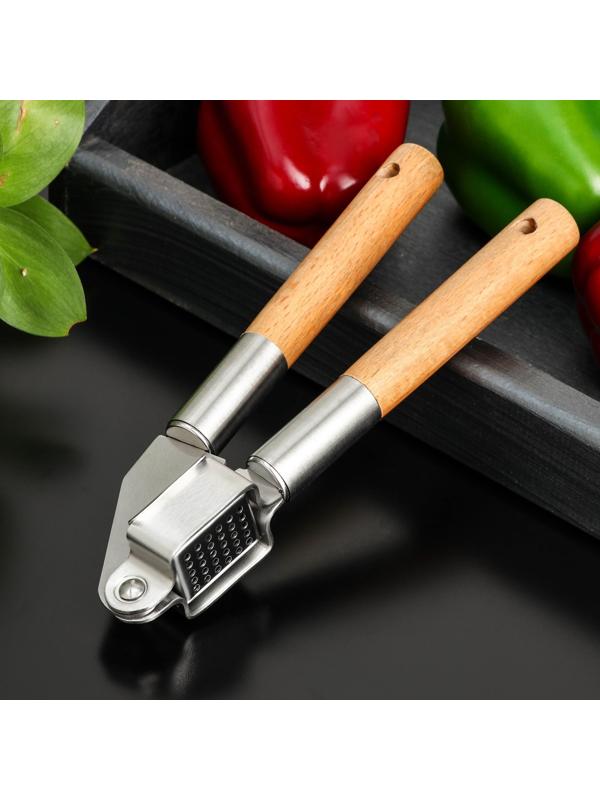 Пресс для чеснока Доляна «Валдай», 20×7,5×4 см, рабочая часть 3,2×2,4 см, нержавеющая сталь, цвет коричневый