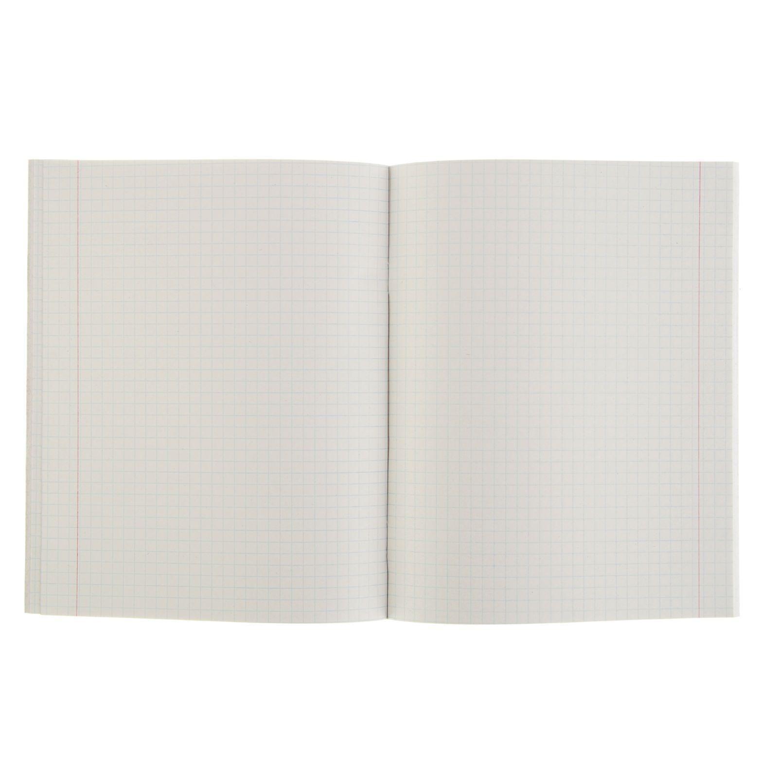 Комплект тетрадей из 5 шт (4 разные + 1 МИКС), 48 листов, клетка, Орнамент, обложка мелованная бумага, блок №2, белизна 75% (серые листы)