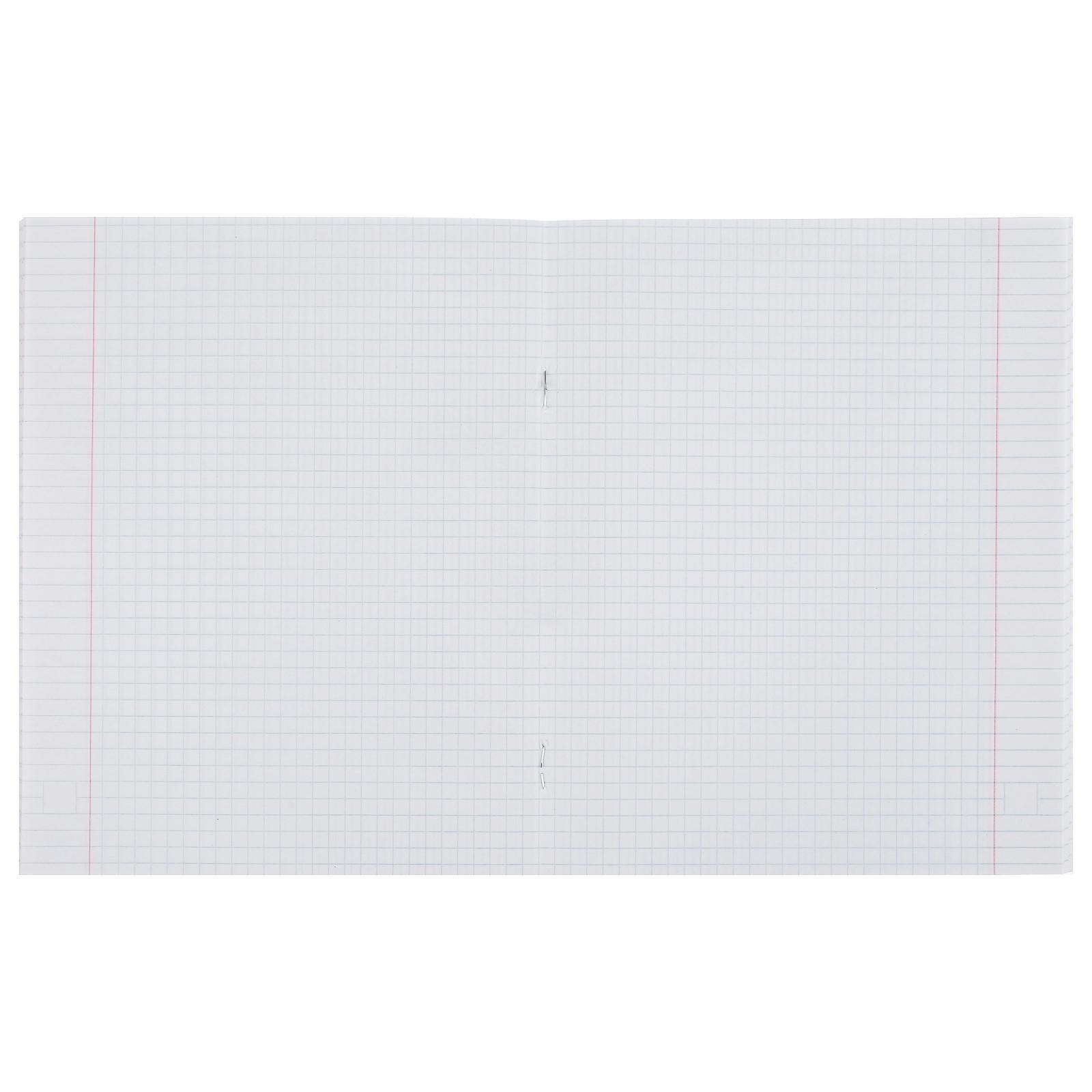 Комплект тетрадей из 5 шт, 48 листов, клетка, Яркая жизнь, обложка мелованный картон, УФ-лак, блок офсет