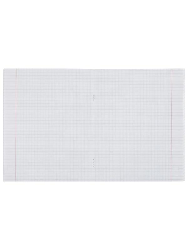 Комплект тетрадей из 5 шт, 48 листов, клетка, Яркая жизнь, обложка мелованный картон, УФ-лак, блок офсет