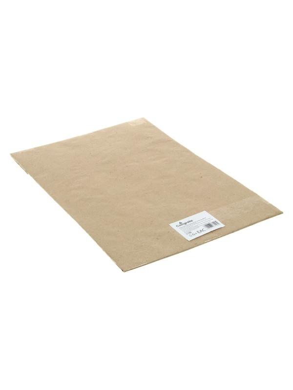 Бумага для черчения А2 Calligrata, 10 листов, 420 х 594 мм, без рамки, блок 200 г/м2