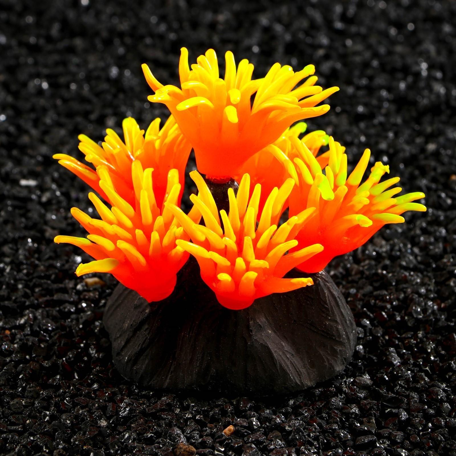 Декор для аквариума коралл Pyrostegia Ignea силиконовый, 8 х 8 х 9 см, оранжевый