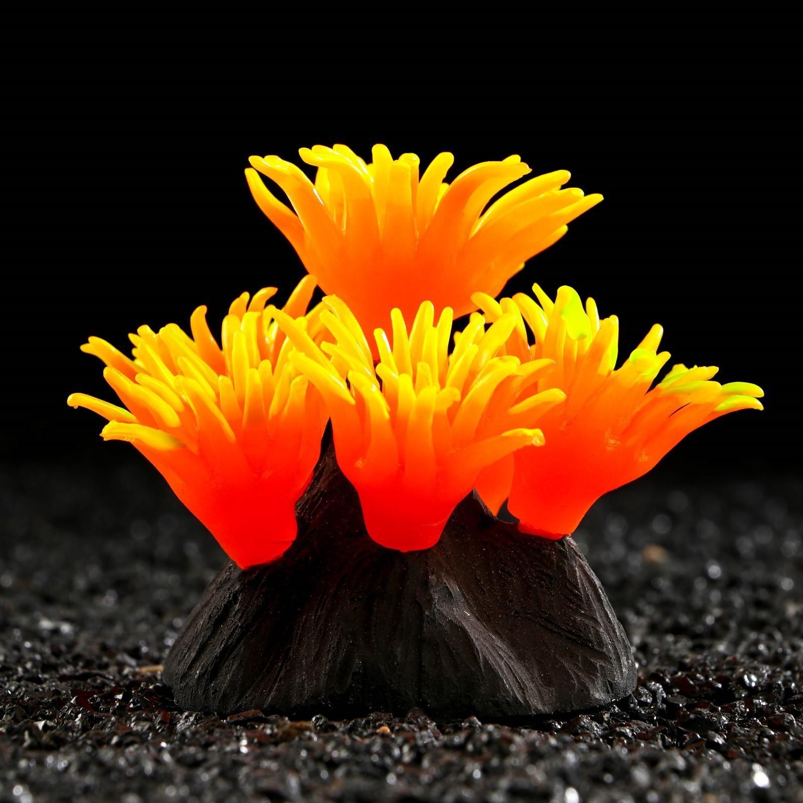 Декор для аквариума коралл Pyrostegia Ignea силиконовый, 8 х 8 х 9 см, оранжевый